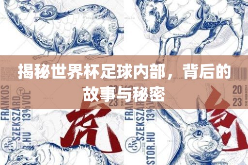 世界杯足球 第4页