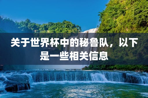 关于世界杯中的秘鲁队，以下是一些相关信息