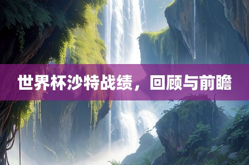 世界杯沙特战绩，回顾与前瞻