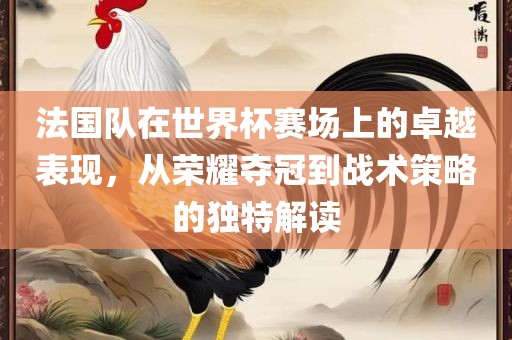 法国队在世界杯赛场上的卓越表现，从荣耀夺冠到战术策略的独特解读