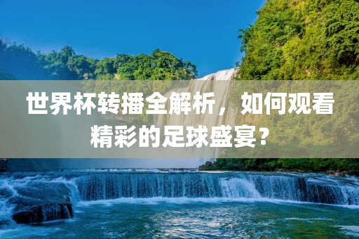 观看足球盛宴
