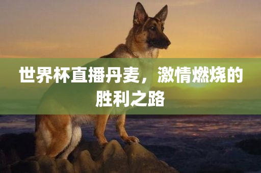 世界杯直播丹麦，激情燃烧的胜利之路