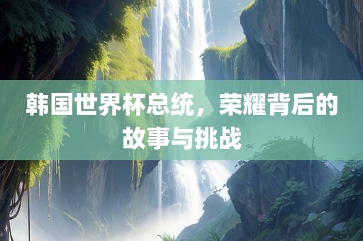 韩国世界杯总统，荣耀背后的故事与挑战