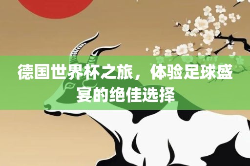 德国世界杯之旅，体验足球盛宴的绝佳选择