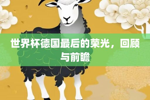 世界杯德国最后的荣光，回顾与前瞻