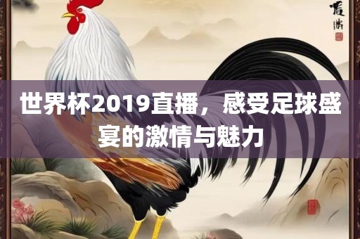 世界杯2019直播，感受足球盛宴的激情与魅力吉安市靖泰电力工程有限公司