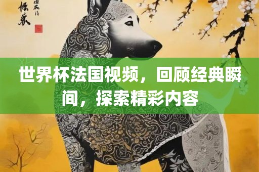 世界杯法国视频，回顾经典瞬间，探索精彩内容