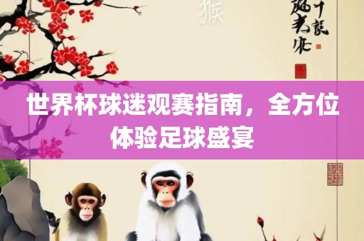 世界杯球迷观赛指南，全方位体验足球盛宴