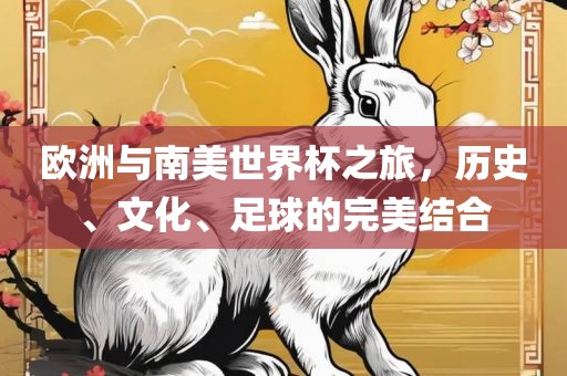欧洲与南美世界杯之旅，历史、文化、足球的完美结合