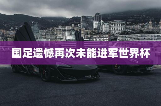 国足遗憾再次未能进军世界杯吉安市靖泰电力工程有限公司