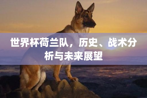 世界杯荷兰队，历史、战术分析与未来展望