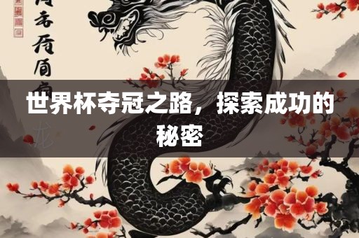 世界杯夺冠之路，探索成功的秘密
