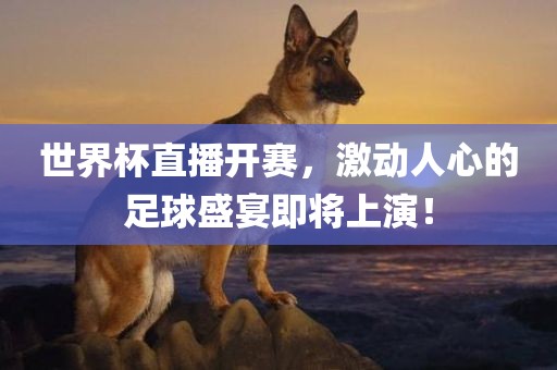 世界杯直播开赛，激动人心的足球盛宴即将上演！吉安市靖泰电力工程有限公司
