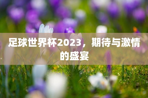 足球世界杯2023，期待与激情的盛宴
