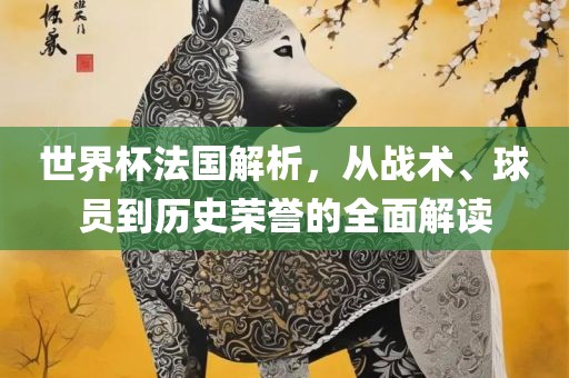 世界杯法国解析，从战术、球员到历史荣誉的全面解读