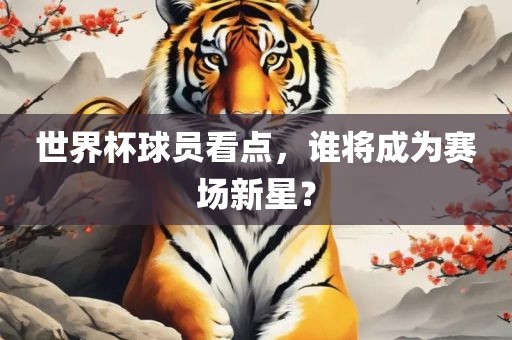 世界杯球员看点，谁将成为赛场新星？
