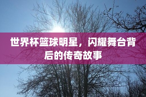 世界杯篮球明星，闪耀舞台背后的传奇故事