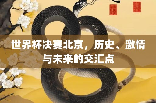 世界杯决赛北京，历史、激情与未来的交汇点