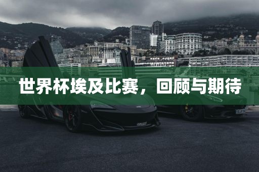 世界杯埃及吉安市靖泰电力工程有限公司比赛，回顾与期待