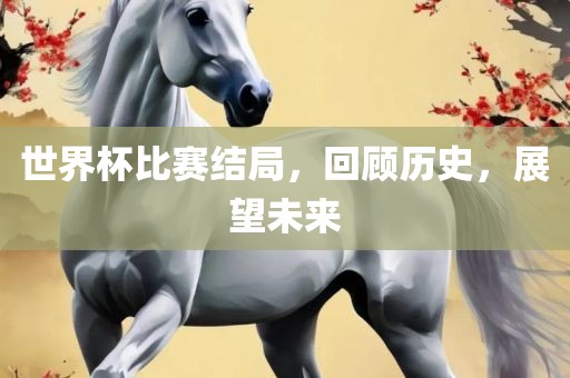 世界杯比赛结局，回顾历史，展望未来