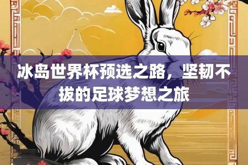 冰岛世界杯预选之路，坚韧不拔的足球梦想之旅