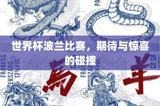 世界杯波兰比赛，期待与惊喜的碰撞