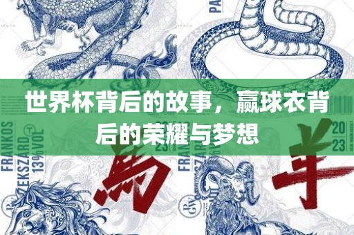 世界杯背后的故事，赢球衣背后的荣耀与梦想