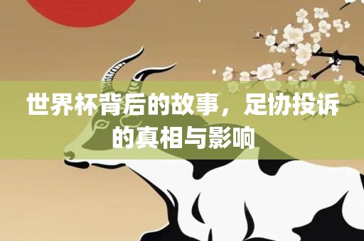 世界杯背后的故事，足协投诉的真相与影响