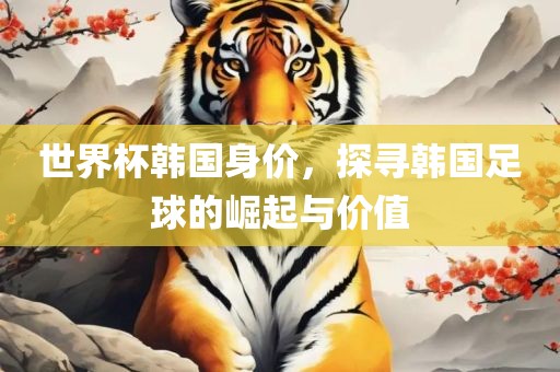 世界杯韩国身价，探寻韩国足球的崛起与价值