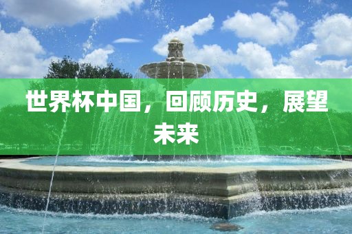 世界杯中国，回顾历史，展望未来