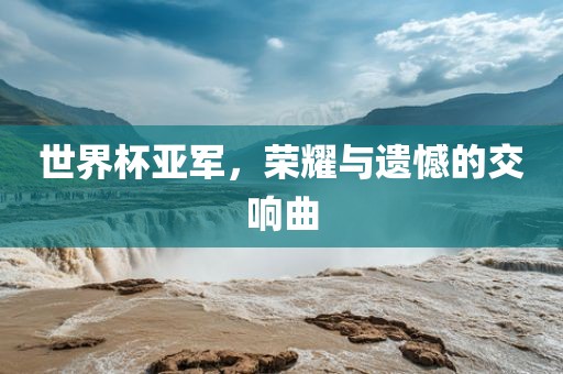 世界杯亚军，荣耀与遗憾的交响曲