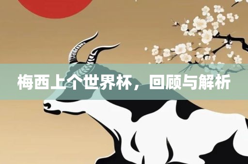 梅西上个世界杯，回顾与解析
